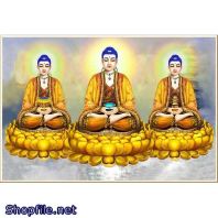 Phật Giáo